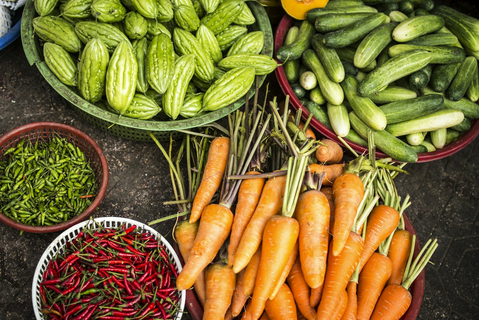 Community gardening in Lisbon: seedlings, neighbours, and the slow joy of growing something